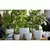 Palm Spring 10" Pc Lily Cache MLB