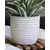 Palm Spring 7.5" Honey Comb Planter Ssl