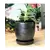 Verandah 7" Svr Maui Pot