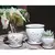 Verandah 6.0" Wsp Hilo Orchid Pot