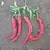 Peppers, Cayenne Red Thick - 5,000 Seed Count