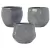 MCarr 81pc Mixed Planter Pallet London Gray