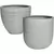 MCarr 20pc Ficonstone Fishbone Planter Pallet