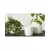 Palm Spring 6"x5.5" Cylinder with As Mwh
