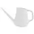 Bloem 1gal Fern Watering Can Vanilla Bean