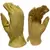 BGC Aqua-Hyde Glove XXL