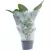Grower Select Satin Sleeve 13.5x24x30 1000/CS
