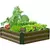 Panacea Expandable Raised Bed