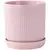 PHG 5"x5.5" Dotted Cylinder Planter Baby Pink 8/CS