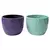 VCS 5" Ceramic Vines Planters