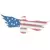 VCS 48" Bald Eagle Flag