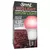 Miracle LED SmokePhonics Red Spectrum A19 LED Grow Light Bulb