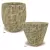 MCarr 30PC Wood Pattern Planter Plt Mossy Yellow