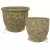 MCarr 40PC Belly & Egg Plntr PLT Mossy Yellow