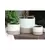 Jewel 7" Mug Pot Ivs