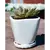 Verandah Oahu Size B Wsp