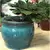 Verandah 3x2.5 Round Self Watering Jade
