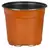 DLN 17.00 CM EURO POT COEX TALL TC 294/CS 32CS/PL