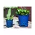 Verandah 7.5" F Blue Waikiki Orchid Pot