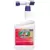 Bonide Qt Dead Bug Brew RTS With Hose End Sprayer