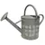 Gardener Select 7L 1.85G Watering Can Dragonfly Galvanized