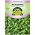 Microgreens, Vates Blue Curled Scotch Kale - 4 Gram