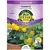 Tomato, Patio Choice Yellow - 10 Seeds