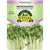 Microgreens, White Lady Turnip - 500 Mg