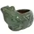 MCarr 13" Frog Planter Falling Green ECOM