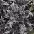 Basil, Purple Ruffles 1/16 oz