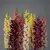 SNAPDRAGON, ROCKET MIX 1000/PKT