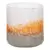 APM 4.5" Art Glass Planter Trail Blazer