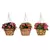 Deer Park Hanging Basket Variety Pk 2 Floral Daisy Ribbon Arch