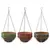 Panacea 14" Flatband Hanging Basket