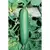 CUCUMBER, ASHLEY 1 LB. EACH