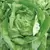 LETTUCE, BIBB - 1/2 OZ EACH