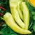 PEPPERS, SWEET BANANA - 1/2 OZ EACH