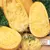 Squash, Vegetable Spaghetti - 10,000 Seed Count