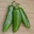 Peppers, Tricked You Treated - 500 Seed Count