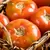 Tomato, Burpees Big Boy Treated - 100 Seed Count
