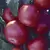Tomato, Biltmore Treated - 100 Seed Count