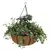 WSP 14" Forge Hanging Basket With Coco Liner