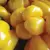 Peppers, Golden Cal Wonder - 10,000 Seed Count