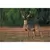 Tenax 7.5'x330' Black Deer Fence Select