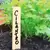 Gardener's Blue Ribbon 24pk 6" Bamboo Plant Labels