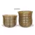 MCarr 24PC Bell Ribbed Planter Plt Jungle Rain