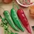 Peppers, Garden Salsa Hybrid Treated - 5,000 Seed Count