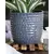 Palm Spring 7.5" Honey Comb Planter Dnm