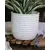 Palm Spring 7.5" Honey Comb Planter Mwh