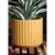 Palm Spring 5.5" Brush Comb Mst Planter